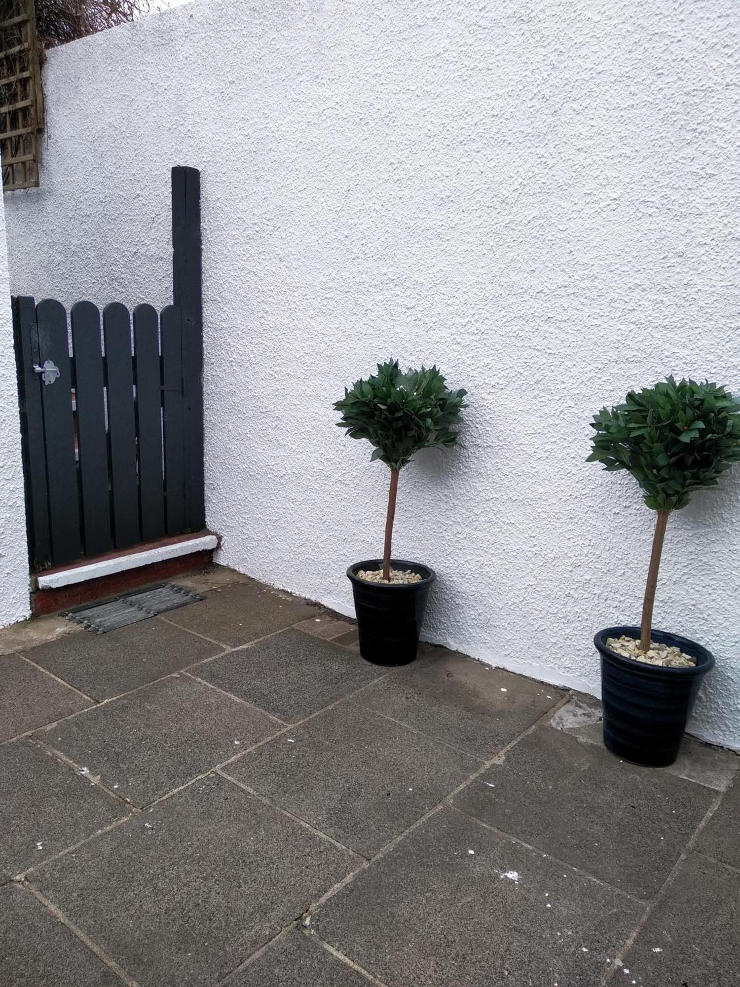 Fishermans Cottage Killough Exterior photo